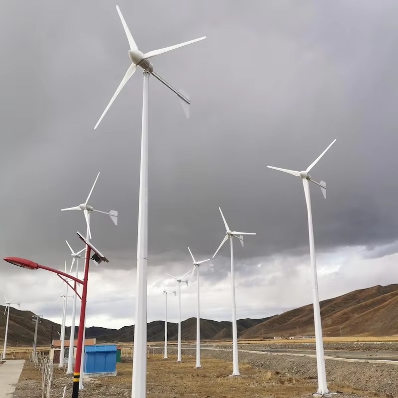 【Best-selling】Home Horizontal  - Horizontal Wind Turbine 10Kw 评论和价格