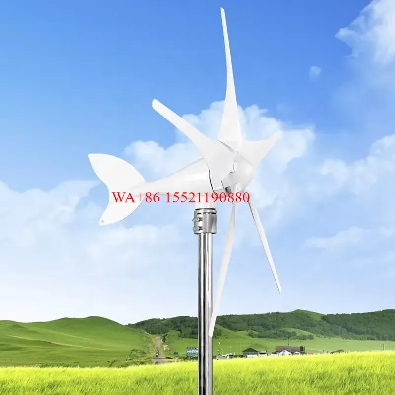 WMWMNU for 12V 24V 48V 240V 10 - Wind Turbine 1000W 24V 评论和价格