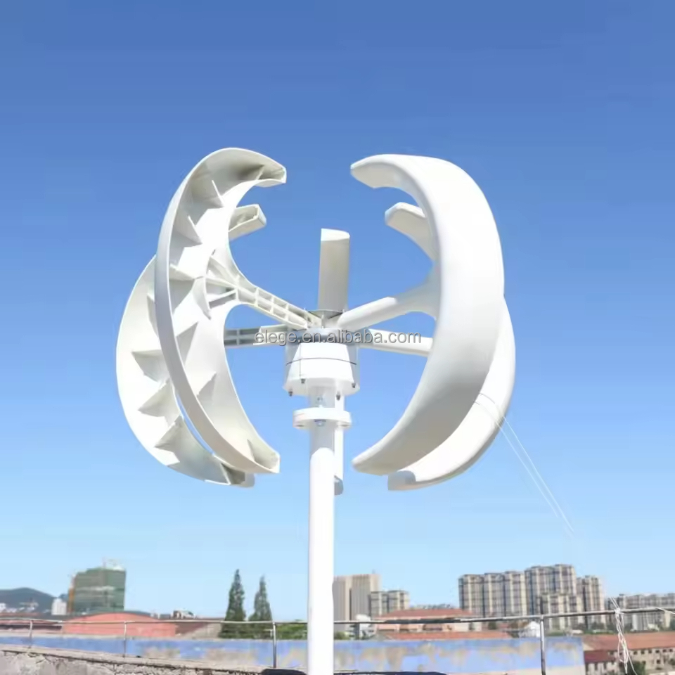 Factory Direct Selling 500w 80 - Wind Turbine 1000W 24V 评论和价格