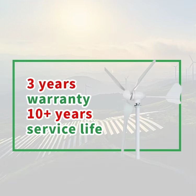 Wind Turbine Generator for Hom - Wind Generator Permanent Magnet 3 Phase 评论和价格