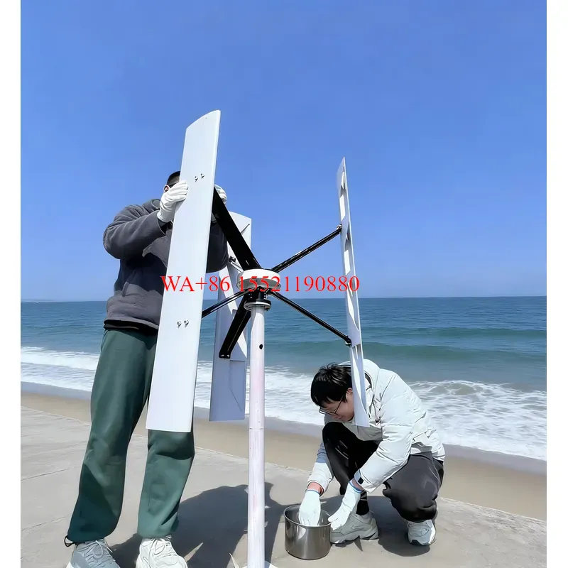 WMWMNU 1000W Vertical Axis Win - Wind Turbine 1000W 24V 评论和价格
