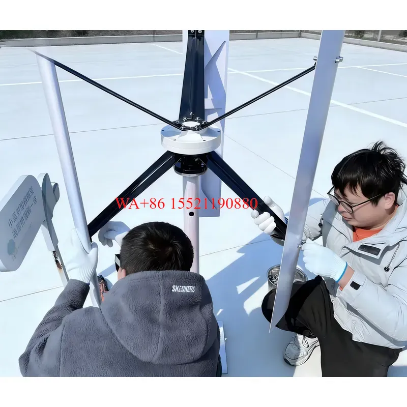 WMWMNU 1000W Vertical Axis Win - Wind Turbine 1000W 24V 评论和价格