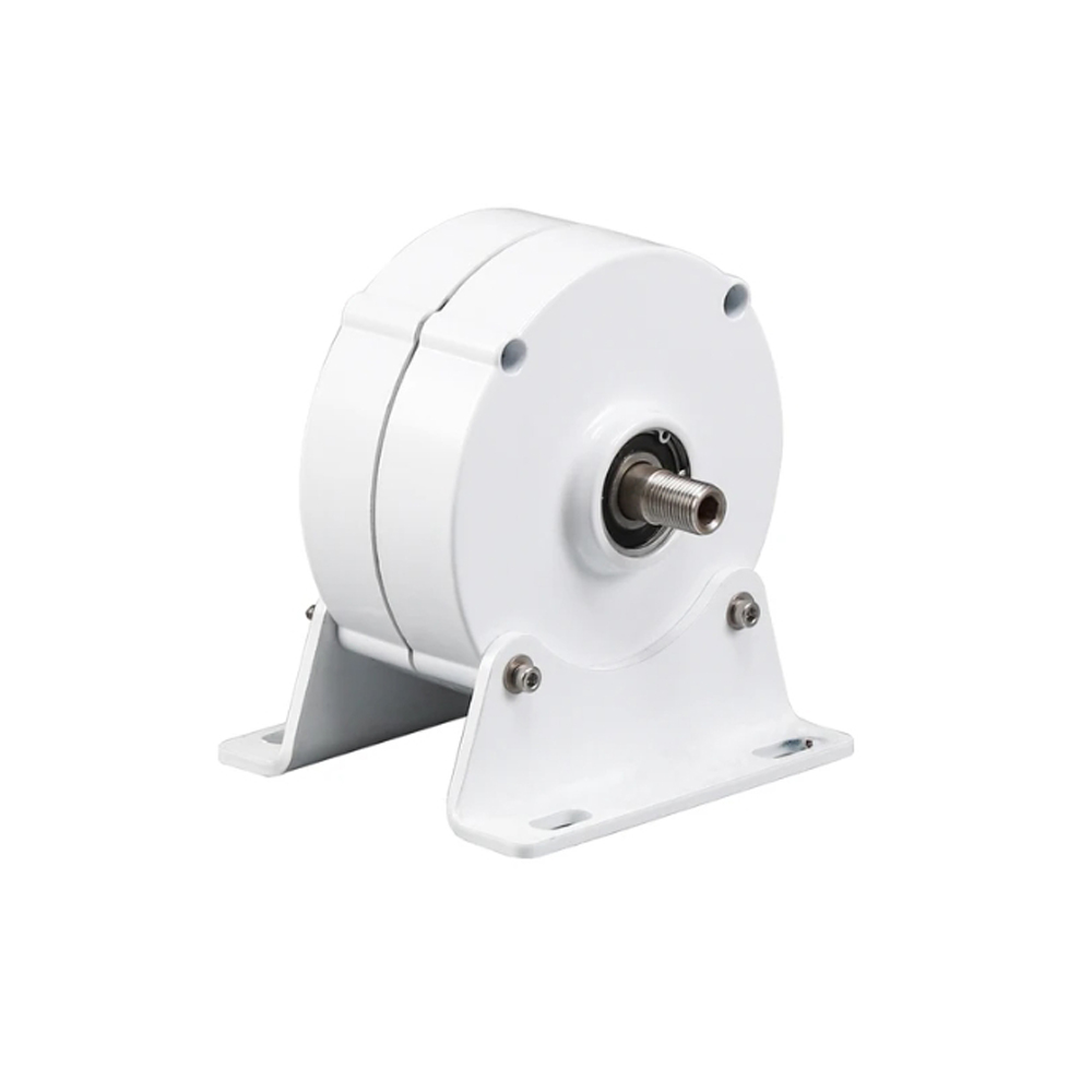 1000W Low RPM Permanent Magnet - Wind Turbine 1000W 24V 评论和价格