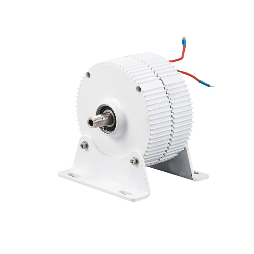 1000W Low RPM Permanent Magnet - Wind Turbine 1000W 24V 评论和价格