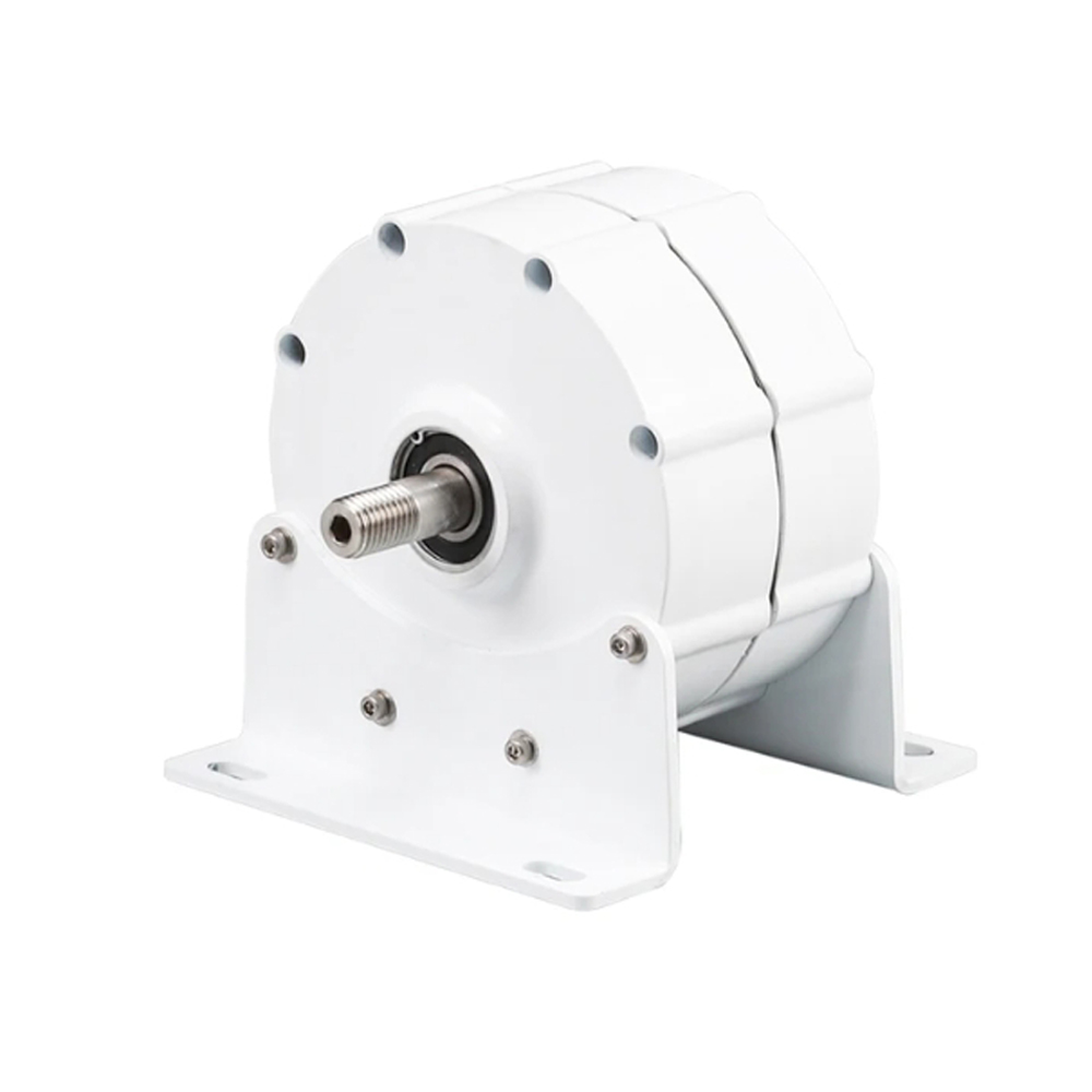 1000W Low RPM Permanent Magnet - Wind Turbine 1000W 24V 评论和价格
