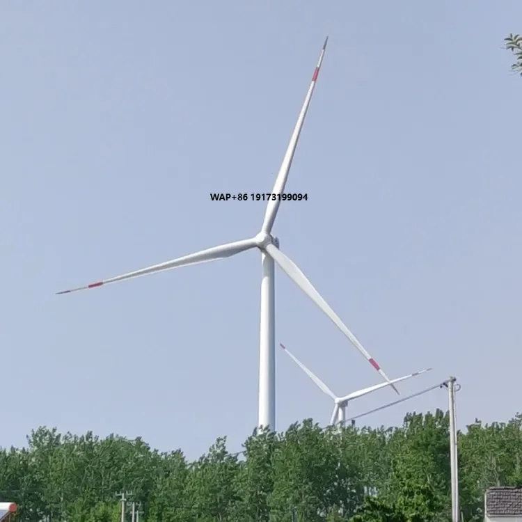 Windmill Power Plant 5Kw 10Kw  - Horizontal Wind Turbine 10Kw 评论和价格